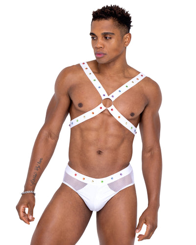 Mens Pride Fishnet & Vinyl Briefs