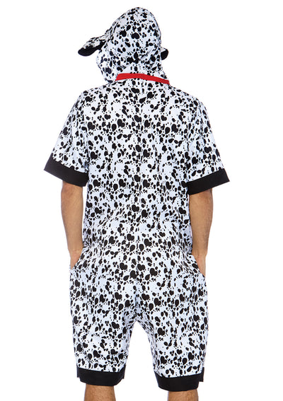 Dalmatian Dog
