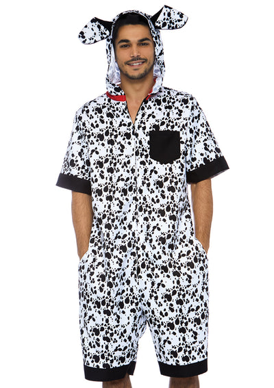 Dalmatian Dog