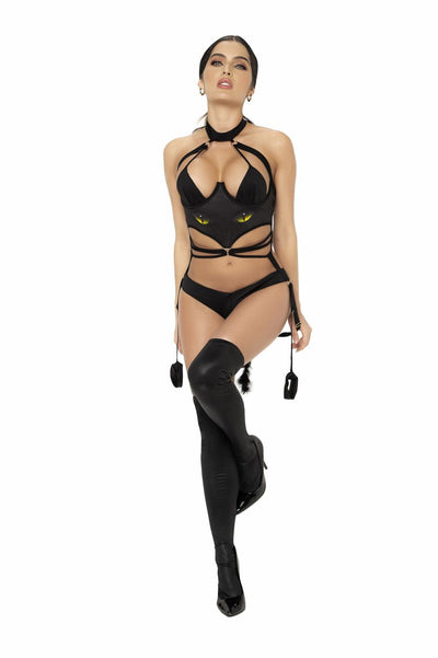Costume Cat Girl Color Only Color